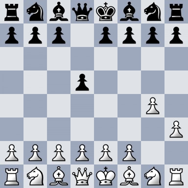 rnbqkbnr/ppp1pppp/8/3p4/6P1/7P/PPPPPP2/RNBQKBNR b KQkq - 0 2
